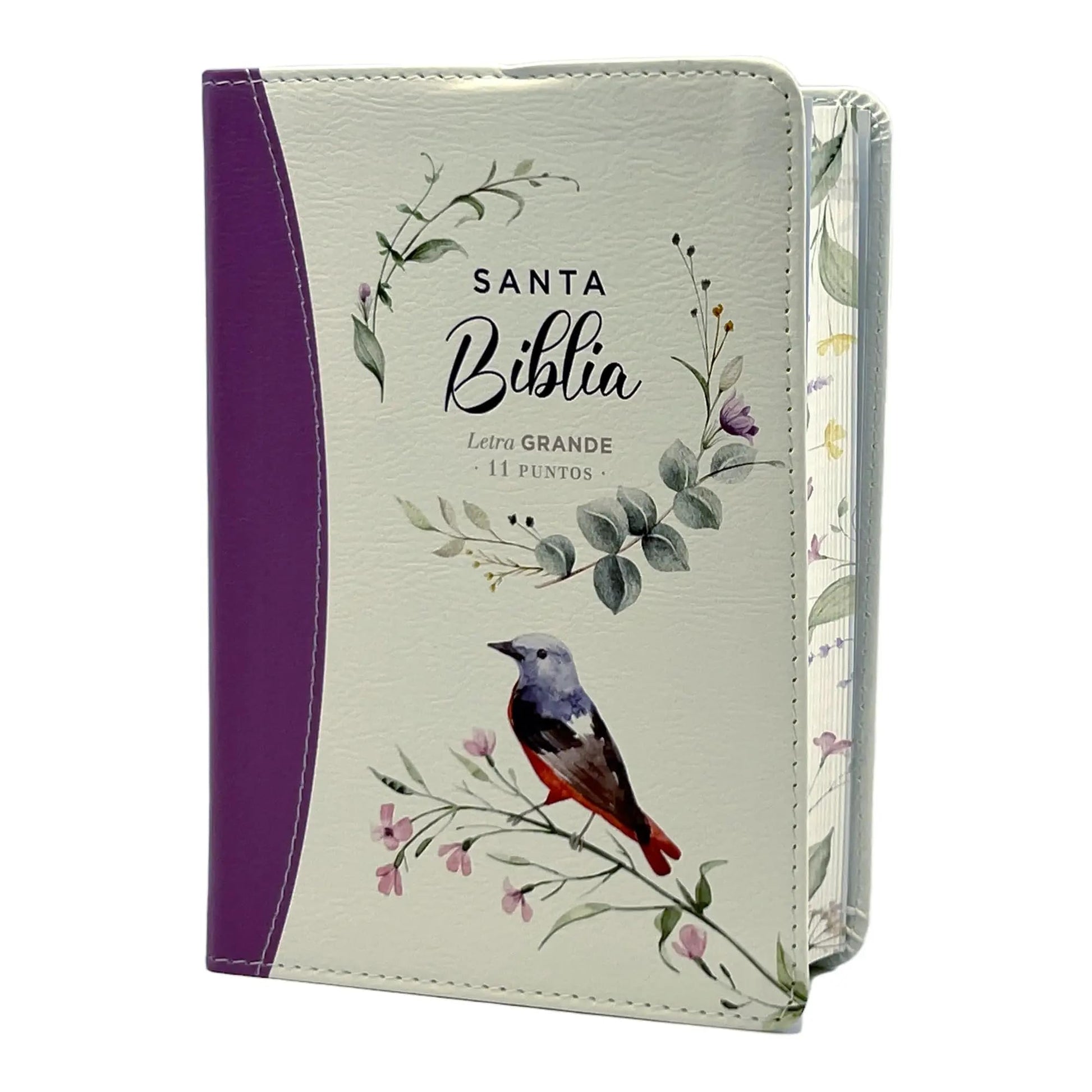 Santa Biblia Reina Valera 1960 compacta letra grande — disponible en La Librería del Evangelio