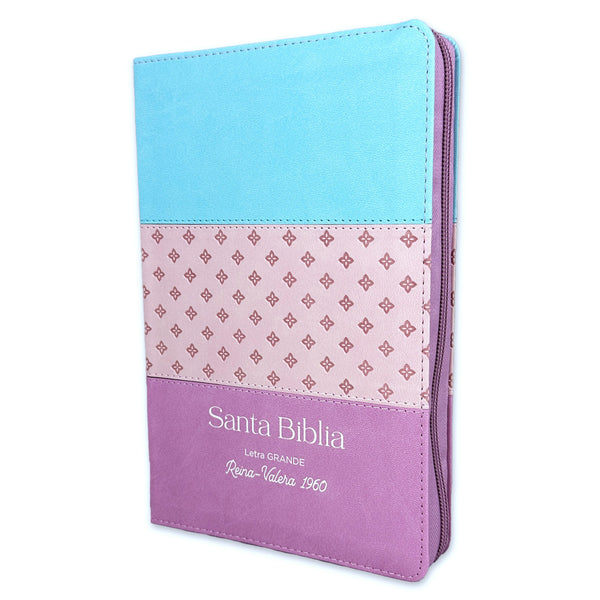 Santa Biblia tamaño manual letra grande Reina Valera 1960