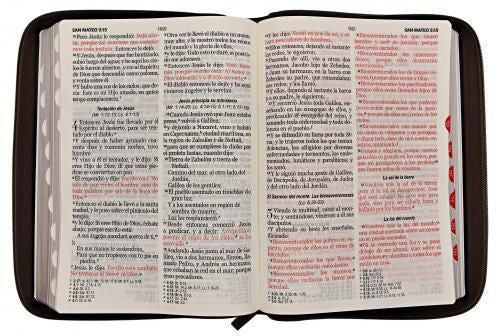 Santa Biblia Reina Valera 1960 Letra Gigante con Zipper (negra floral)