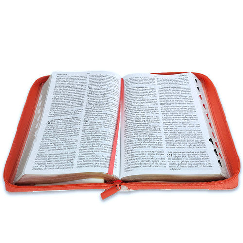 Santa Biblia REINA VALERA 1960 letra grande con zipper