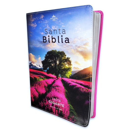 Santa Biblia Reina Valera 1960 Letra Gigante — disponible en La Librería del Evangelio