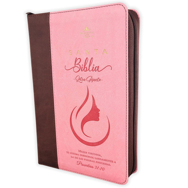 Santa Biblia Reina Valera 1960 letra gigante 14 puntos con cierre y canto dorado