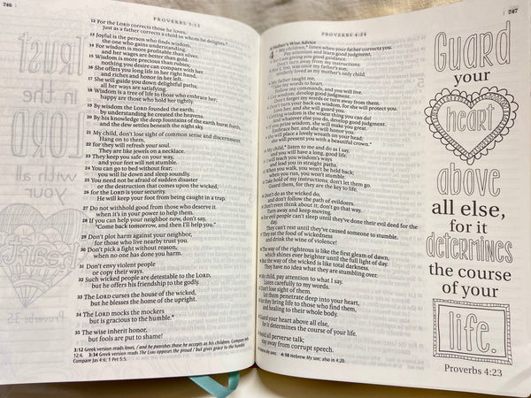 Inspire Bible large print