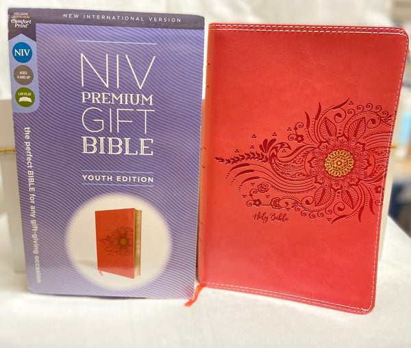 NIV premium gift bible youth edition
