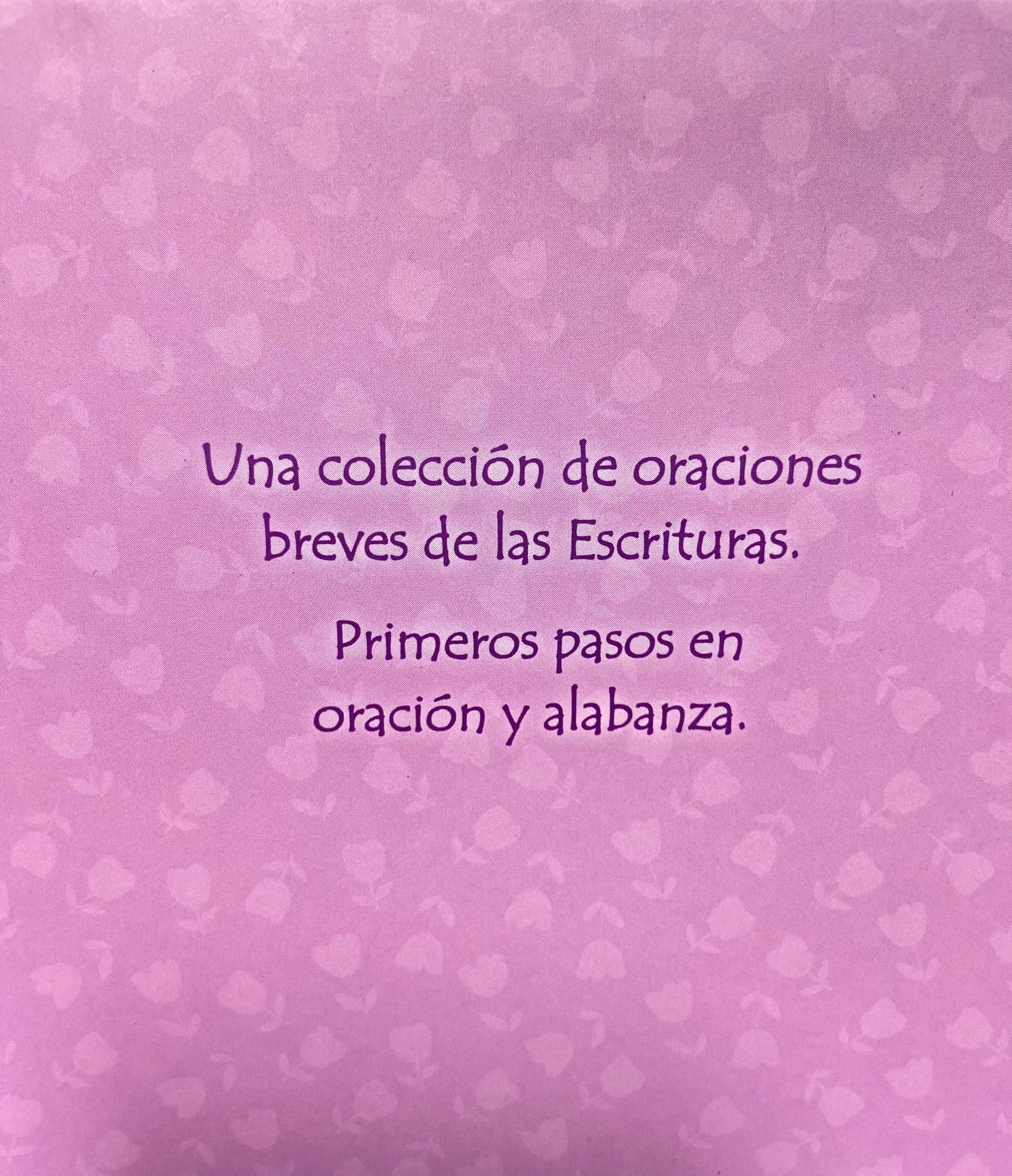 Oraciones para mi pequeña niña — imagen 2, La Librería del Evangelio