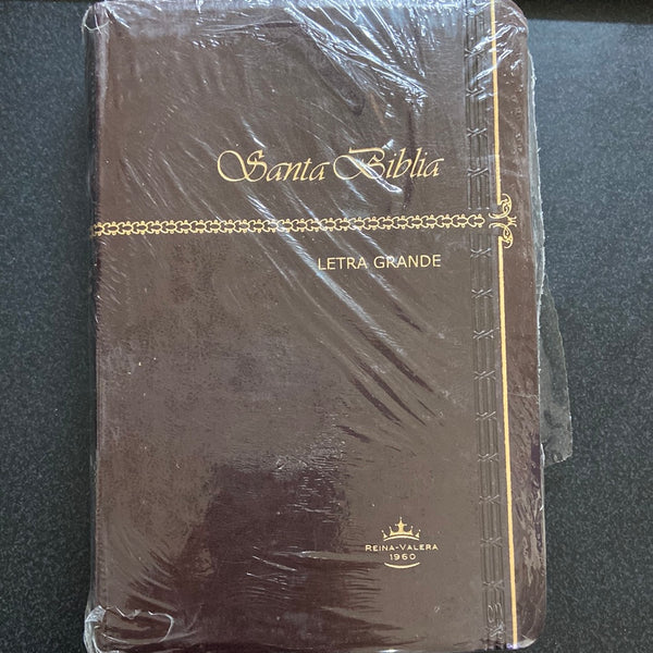 Biblia