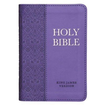 THE HOLY BIBLE KJV MINI BIBLE book cover