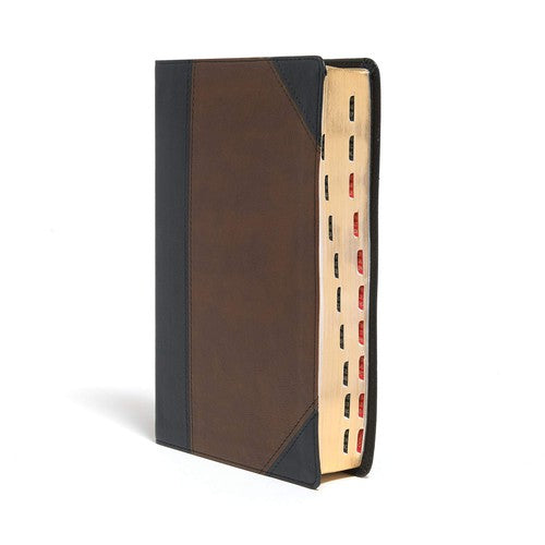 KJV LARGE PRINT PERSONAL SIZE REFERENCE BIBLE book cover