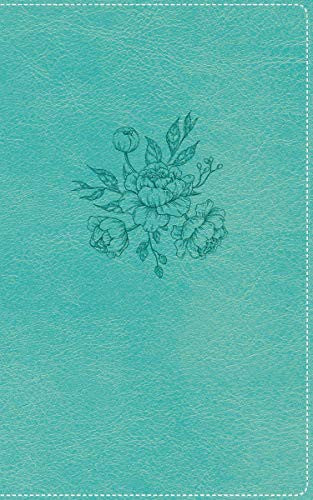 Biblia de la Mama Ocupada nvi book cover