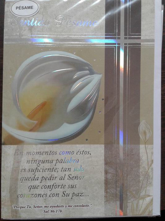 TARJETAS Big Art — photo 2, The Gospel Bookstore