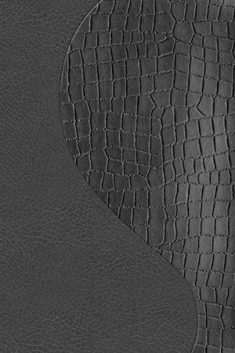 Biblia de promesas/ Promise Bible: 2 Tonos Piel Especial Negro-croc/ 2 Tone Deluxe Black-croc (Spanish Edition)