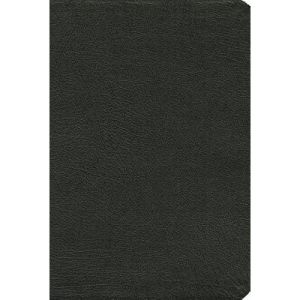 Biblia de referencia Thompson RVR 1960 con Índice (Spanish Edition)