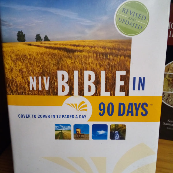 Niv Bible in 90 days