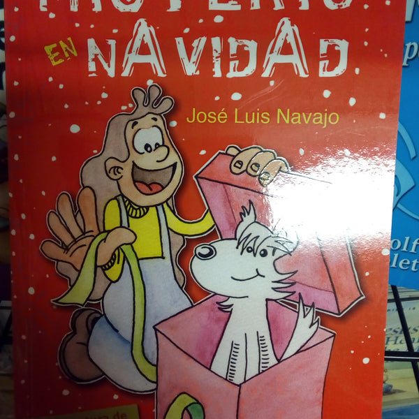 Misterio en navidad