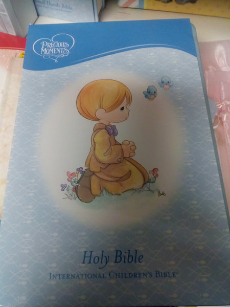 Holy Bible international children's Bible