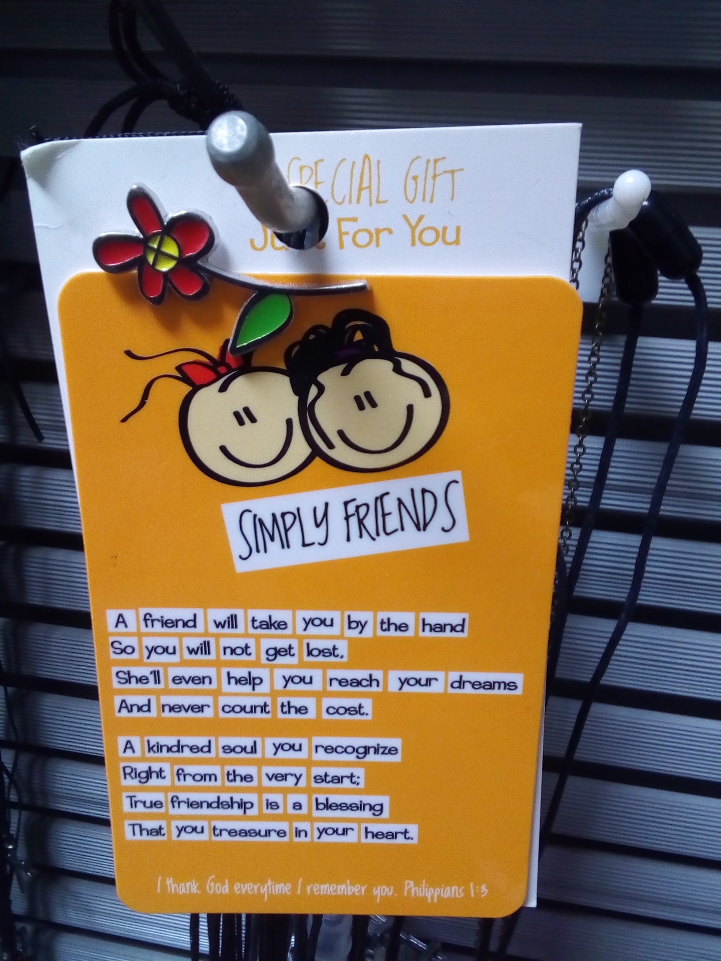 Simply Friends Pin