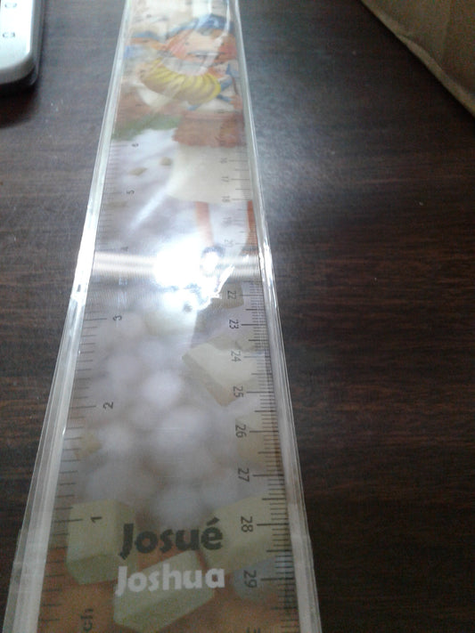 Ruler Josue/Joshua — available at The Gospel Bookstore