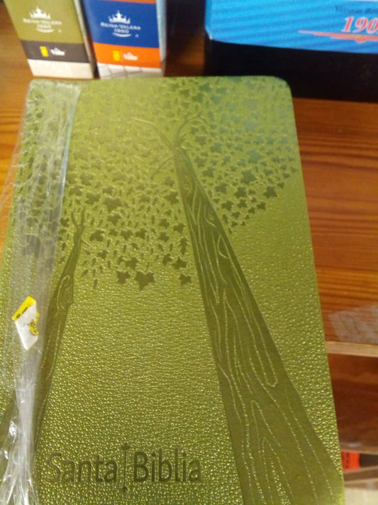 Santa Biblia. Verde — disponible en La Librería del Evangelio