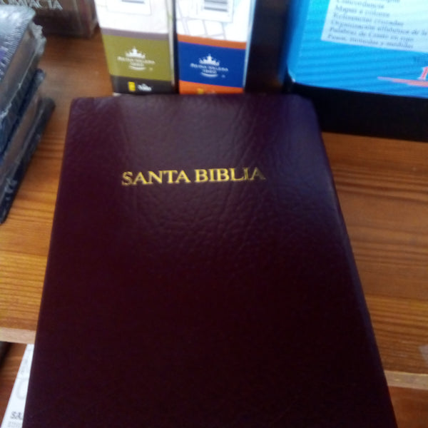 Santa BIBLIA