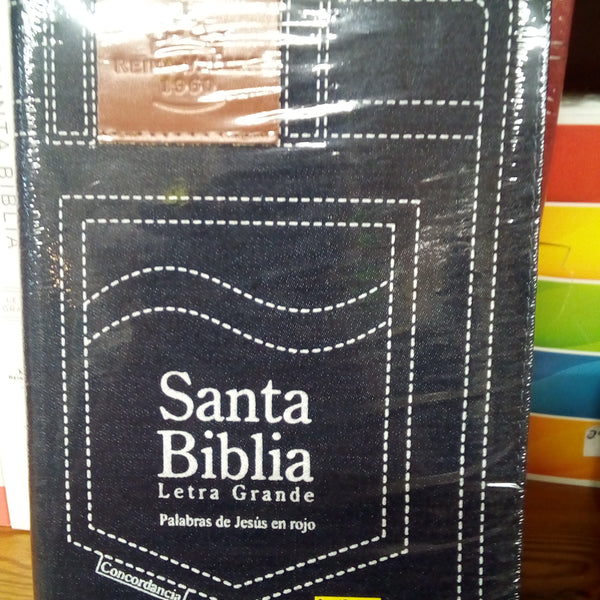 Santa Biblia jean