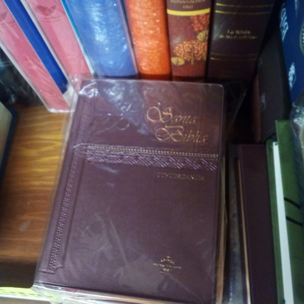 Biblia