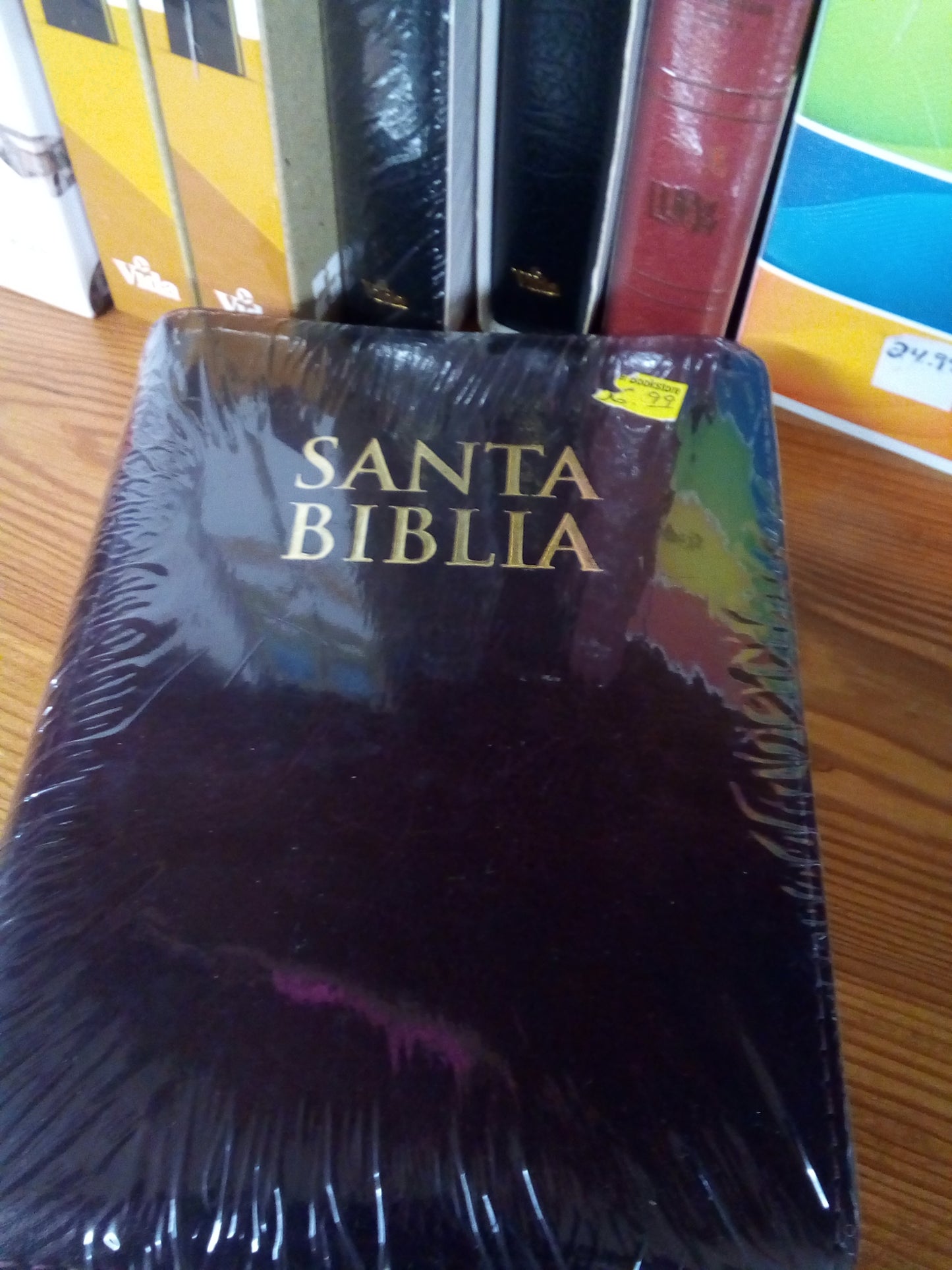 BIBLIA chica