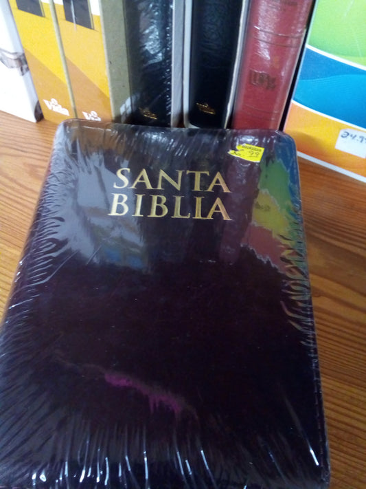BIBLIA chica