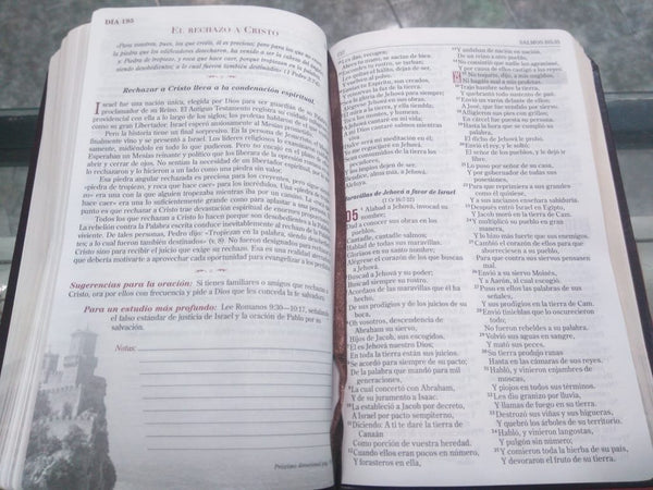 Biblia Fortaleza RVR 1960,
