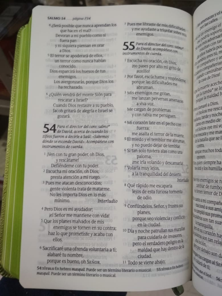 Biblia NTV verde árboles edición ariel — disponible en La Librería del Evangelio