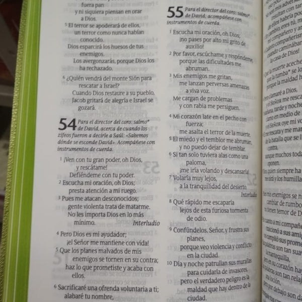 Biblia NTV verde árboles edición ariel