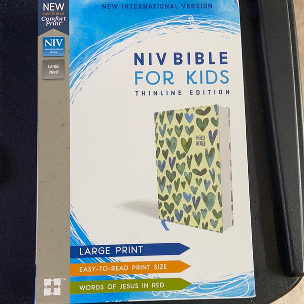 Niv bible for kids large print