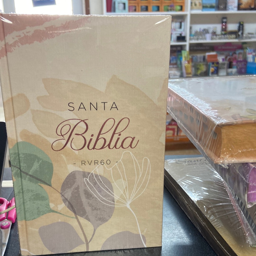 Santa Biblia Reina Valera 1960 Letra Grande Pasta Dura con índice