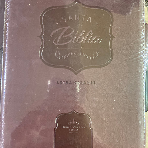Santa biblia letra gigante reina Valera