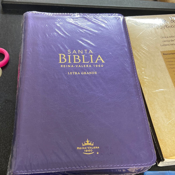 Santa Biblia Reina Valera 1960 Letra Grande