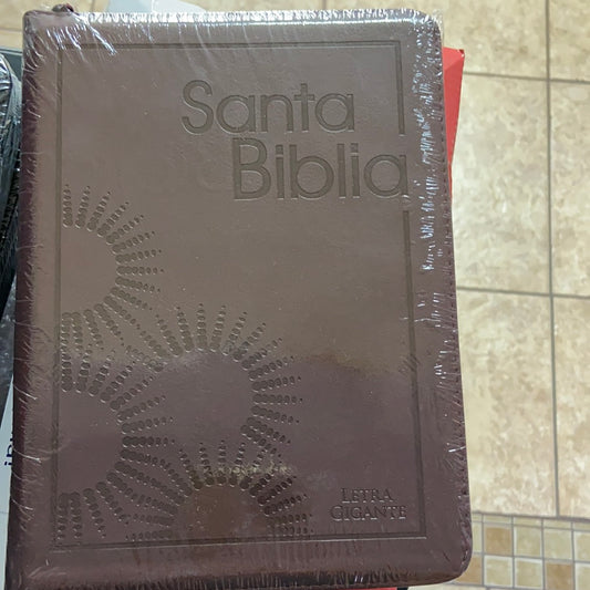 Biblia rvr 60 letra gigante