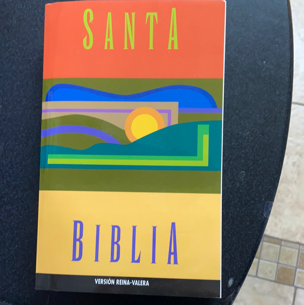 Santa Biblia version reina valera (paperback)
