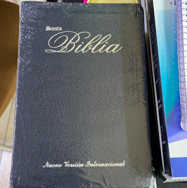 Santa Biblia Nueva version internacional