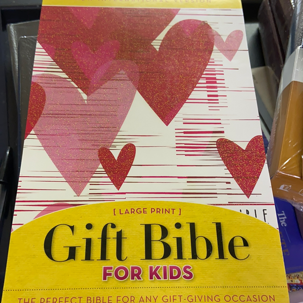 NIV LARGE PRINT GIFT BIBLE FOR KIDS