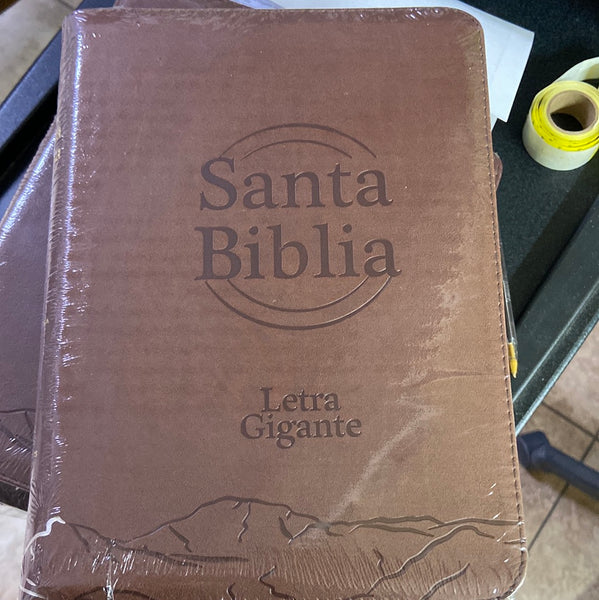 Santa Biblia letra gigante reina valera 1960