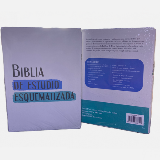 BIBLIA DE ESTUDIO ESQUEMATIZADA REINA VALERA 1960 — disponible en La Librería del Evangelio