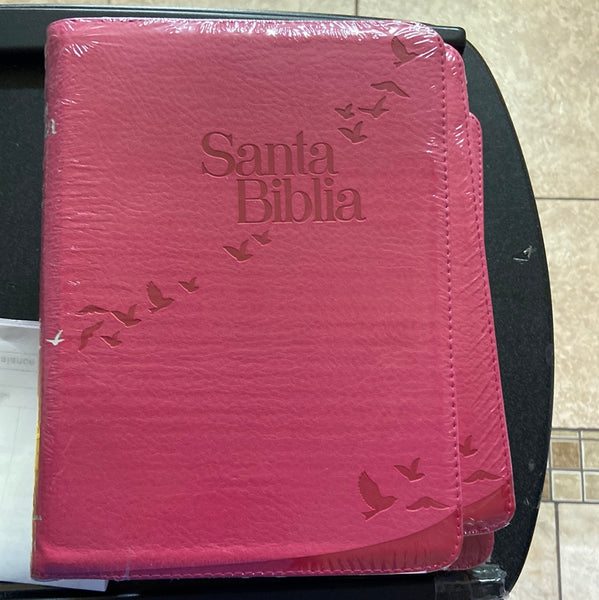 Santa biblia rosa
