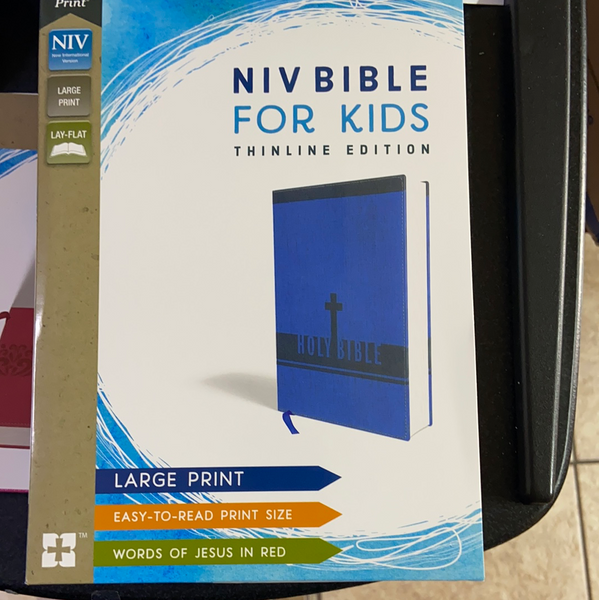 Niv Bible for kids large print