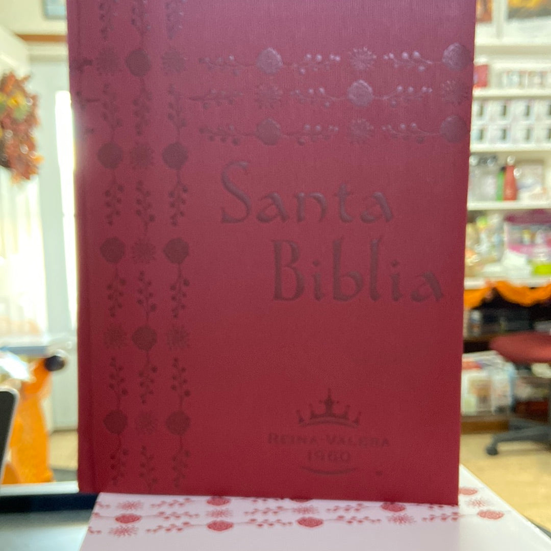 BIBLIA FAMILIAR REINA VALERA 1960 LETRA SUPERGIGANTE — disponible en La Librería del Evangelio
