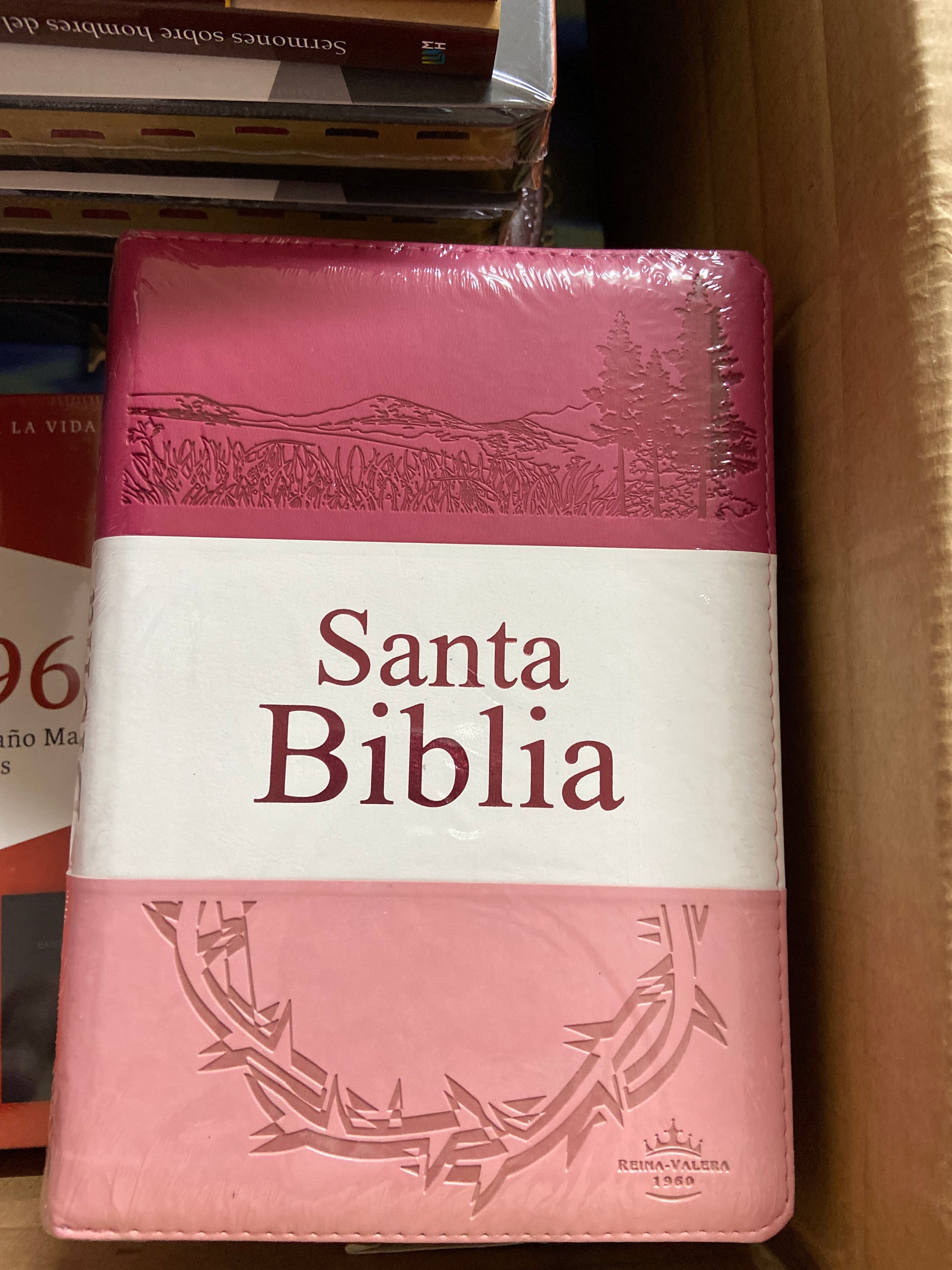 Santa biblia reina Valera — disponible en La Librería del Evangelio