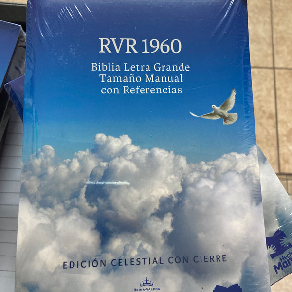 Rvr 1960 biblia letra grande manual con referencias