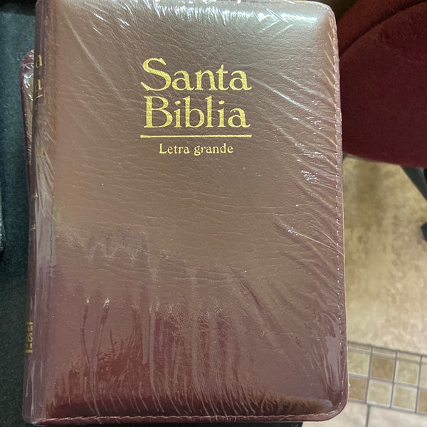 Santa Biblia letra grande Reina valera 60