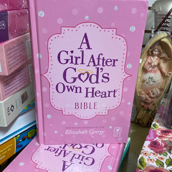 A Girl after God's own Heart Bible