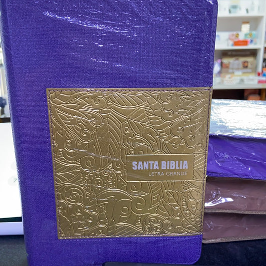Santa Biblia Reina Valera 1960 LETRA GRANDE — disponible en La Librería del Evangelio